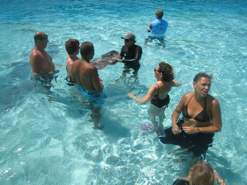 Hotel Les Tipaniers Moorea Exterior foto